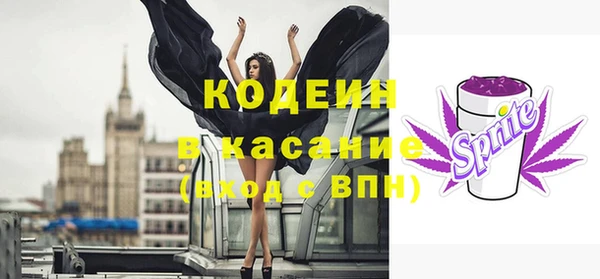 индика Алексин