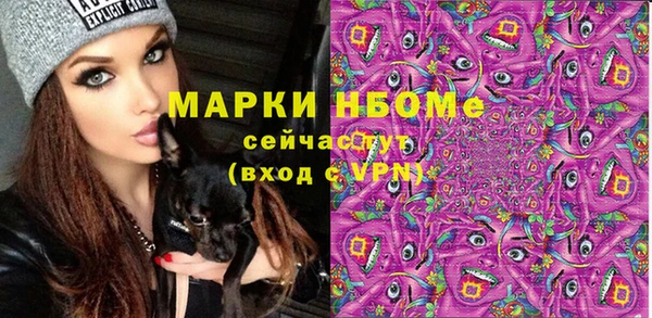 индика Алексин