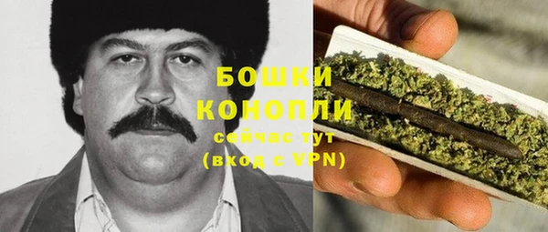 стаф Абаза