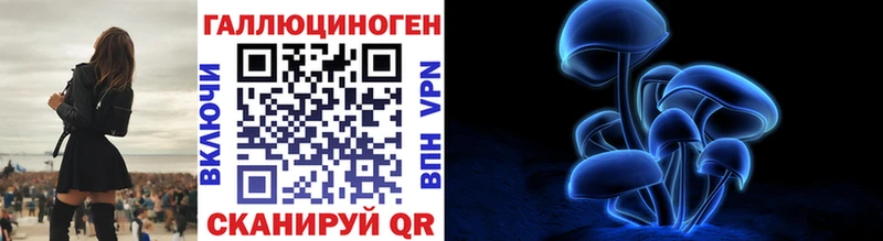 Псилоцибиновые грибы Psilocybine cubensis  Подпорожье 